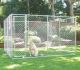 Parc à Chiots 3x3x1.8m ou 1.5x4.6x1.8m, enclos pour chiens, chenil d'extérieur, enclos d'exercice cage pour chiens